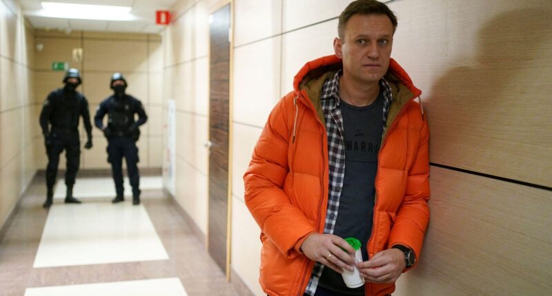 Alexei Navalny’s Widow Says Evidence Shows He Was Poisoned