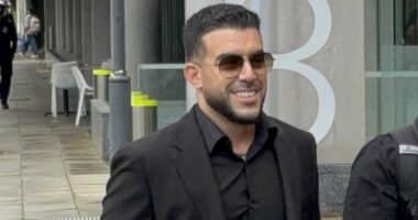 Authorities wanted to seize prizes, Portelli's lawyer tells lottery trial