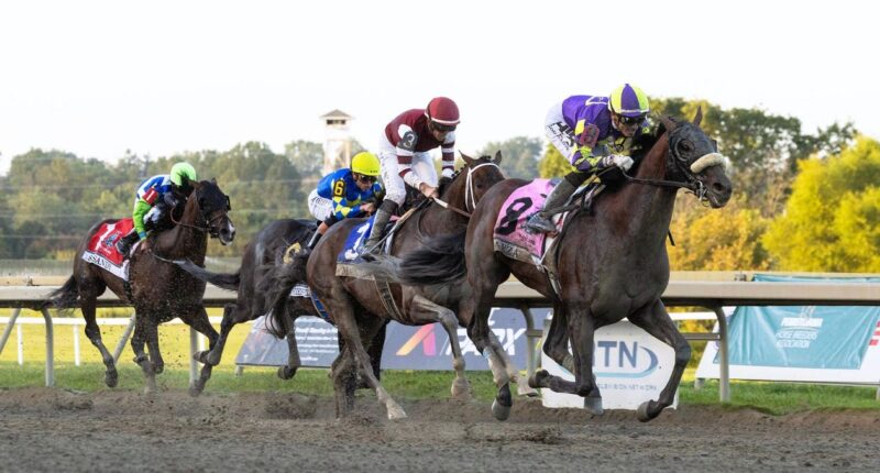 Baeza Proves His Worth In Pennsylvania Derby