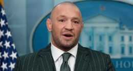 Conor McGregor FaceTime calls Elon Musk to rescue his campaign to be Ireland's next President, as UFC fighter faces BAN from the ballot