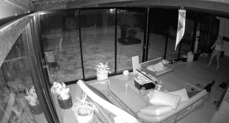 Dog hailed a hero after scaring off intruders from Melbourne home