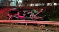 Dog thrown from police car in Melbourne freeway crash