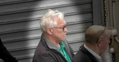 Former SA Police contractor accused of possessing child abuse material