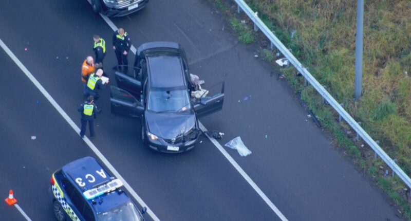 Four machetes, sword pulled from car after dramatic police pursuit across Melbourne