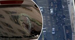 Four teenagers charged over dramatic Bourke Street Mall police chase