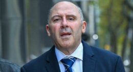 Gangland figure Tony Mokbel argues he suffered a miscarriage of justice