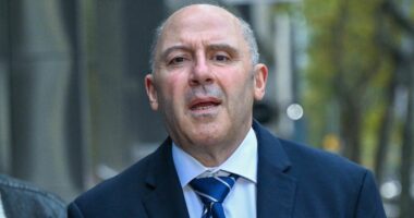 Gangland figure Tony Mokbel argues he suffered a miscarriage of justice