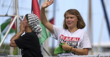 Greta Thunberg's flotilla was not hit by a drone, Tunisia says