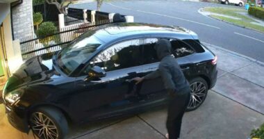 Hooded men try to steal car from driveway with two adults and child inside