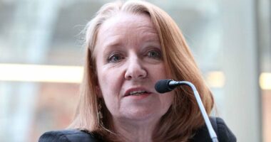 How Kamala Harris is looking for inspiration from Britain's left-wing government to beat Trump in November