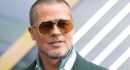 If Brad Pitt Can Be Deepfaked, So Can Divorce Evidence