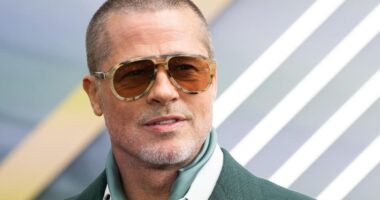 If Brad Pitt Can Be Deepfaked, So Can Divorce Evidence