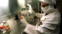Investors of India's generic drugmakers rattled