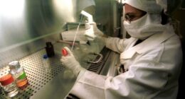 Investors of India's generic drugmakers rattled