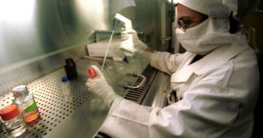 Investors of India's generic drugmakers rattled