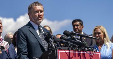 Kentucky rebel Thomas Massie rejects notion of Trump-Musk proxy war that could spectacularly backfire