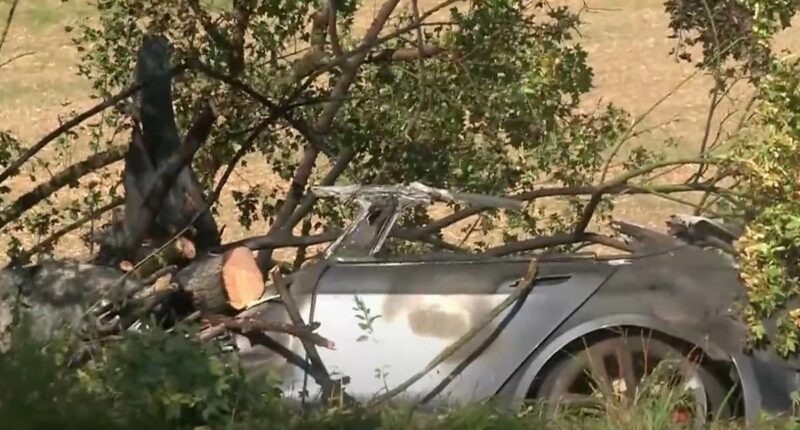 Man and children burn alive inside a Tesla