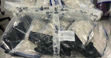 Man facing life imprisonment after alleged $11 million meth import