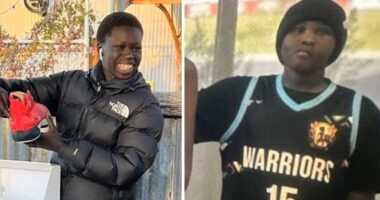 Meme may have sparked deadly machete attack on two boys in Melbourne