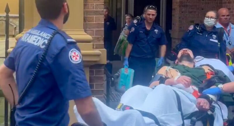 Murderer dragged bloodied from Sydney court after guilty verdict