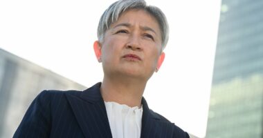 Penny Wong lashes out after Israel phone call to Sussan Ley: 'Not in the nation's interests'