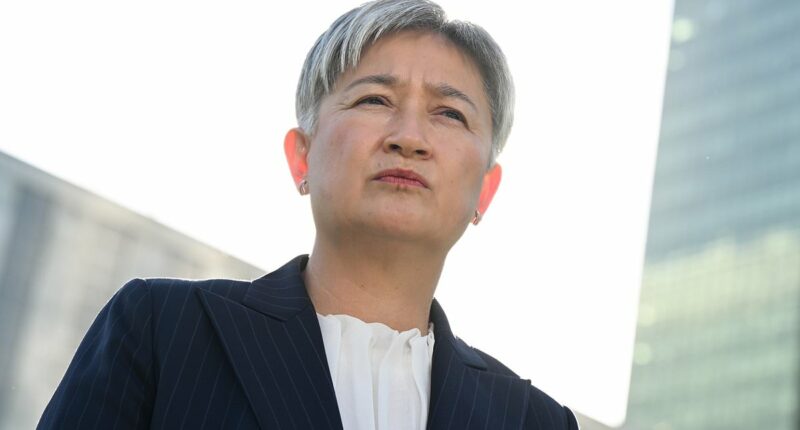 Penny Wong lashes out after Israel phone call to Sussan Ley: 'Not in the nation's interests'