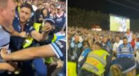 Police investigate brawling NRL fans at finals match