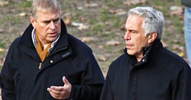 Prince Andrew appears again in new Epstein files