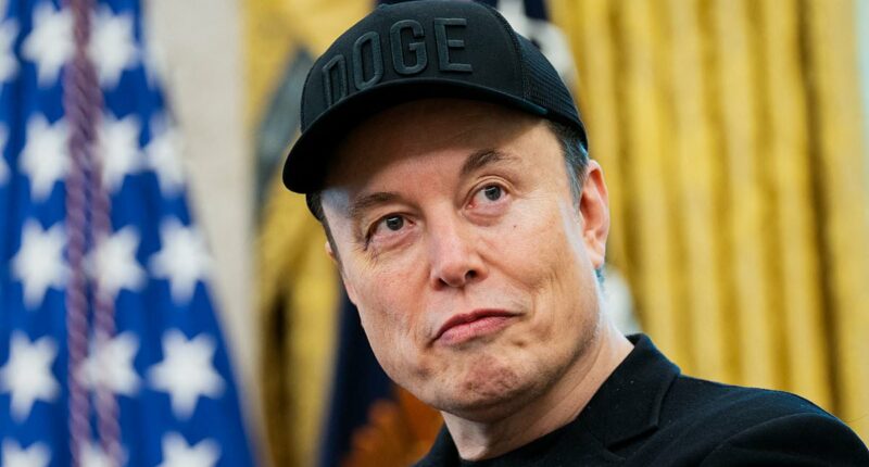 Report: Musk's DOGE backfires as hundreds are begged to return to work