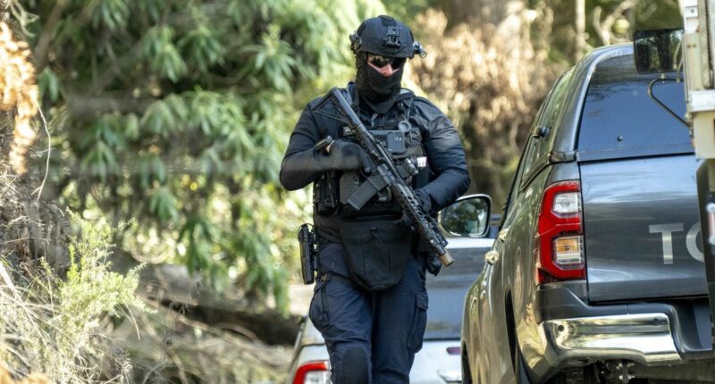 Search for Dezi Freeman continues as police lift Porepunkah travel warning