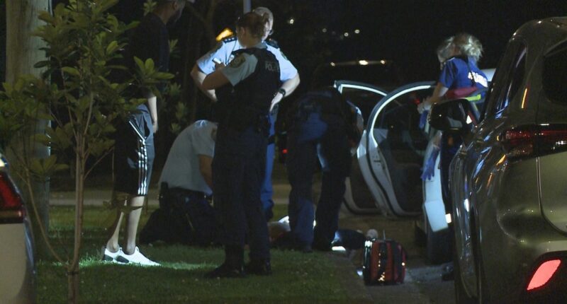 Stabbed teenager left with serious wounds to back and leg