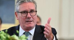 Starmer must not meet the Israeli President when he visits the UK, Labour MPs say