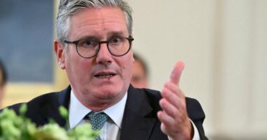 Starmer must not meet the Israeli President when he visits the UK, Labour MPs say
