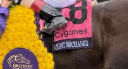 Straight No Chaser Working To Be Top Shelf Again