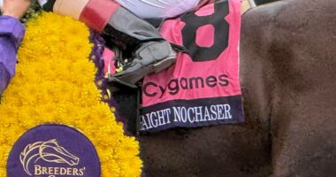 Straight No Chaser Working To Be Top Shelf Again