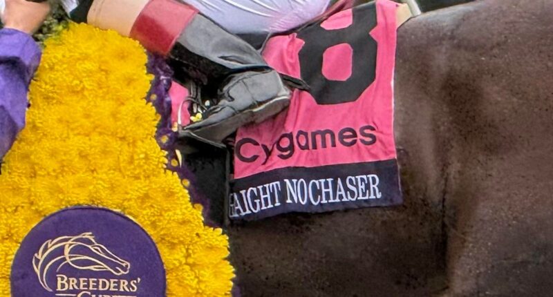 Straight No Chaser Working To Be Top Shelf Again
