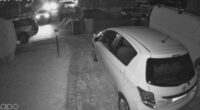 Sydney home invaders may have worn police 'logo' on shirts