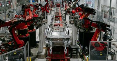 Tesla worker sues for $51M after allegedly being attacked by robot