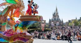 The 6 Point Plan For Getting A License To Run A Disney Park