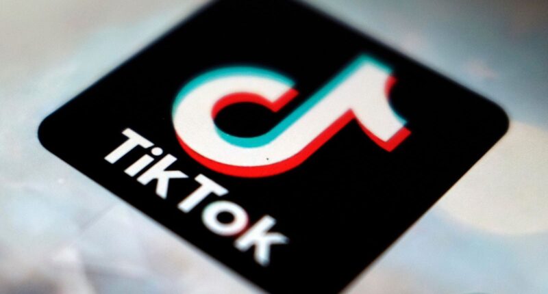 TikTok’s Algorithm To Be Controlled By U.S., White House Says