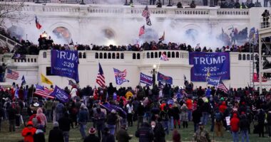 Trump Falsely Claims FBI Agents Among Jan. 6 Protestors