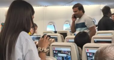 Trump's new $100,000 visa fee sparks panic aboard plane