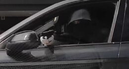 Two sought as CCTV released over daylight Sydney shooting