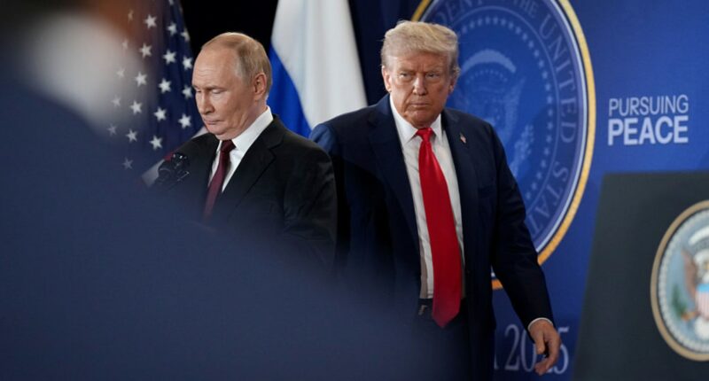 What comes next as Trump responds to Russia's drone incursion