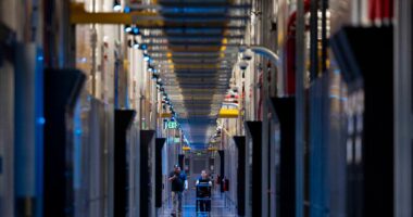 Where Does Your AI Come From? And Can You Count On It?