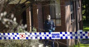 Woman charged with attempted murder after men stabbed