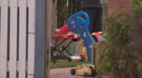 Woman freed on bail over fire that killed two children
