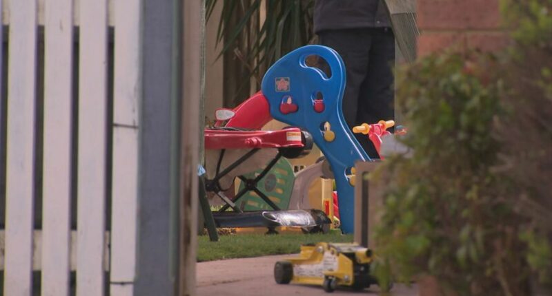 Woman freed on bail over fire that killed two children