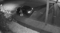 Woman run down by car thieves who raided her home in Brisbane's north-east