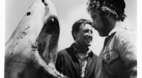 ‘Jaws’ Chowed Down On $16 Million In 50th Anniversary Re-Release